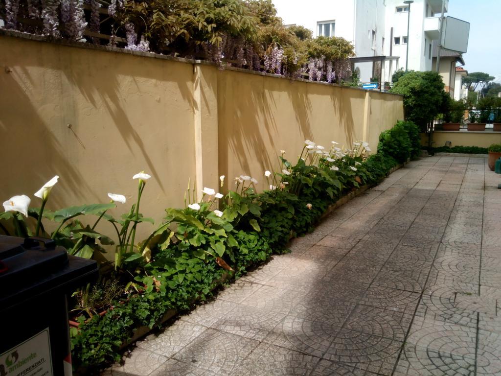 לידו די קאמאיורה Hotel Margot מראה חיצוני תמונה